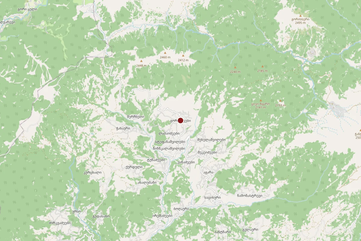 Gorgadzeebi, OpenStreetMap