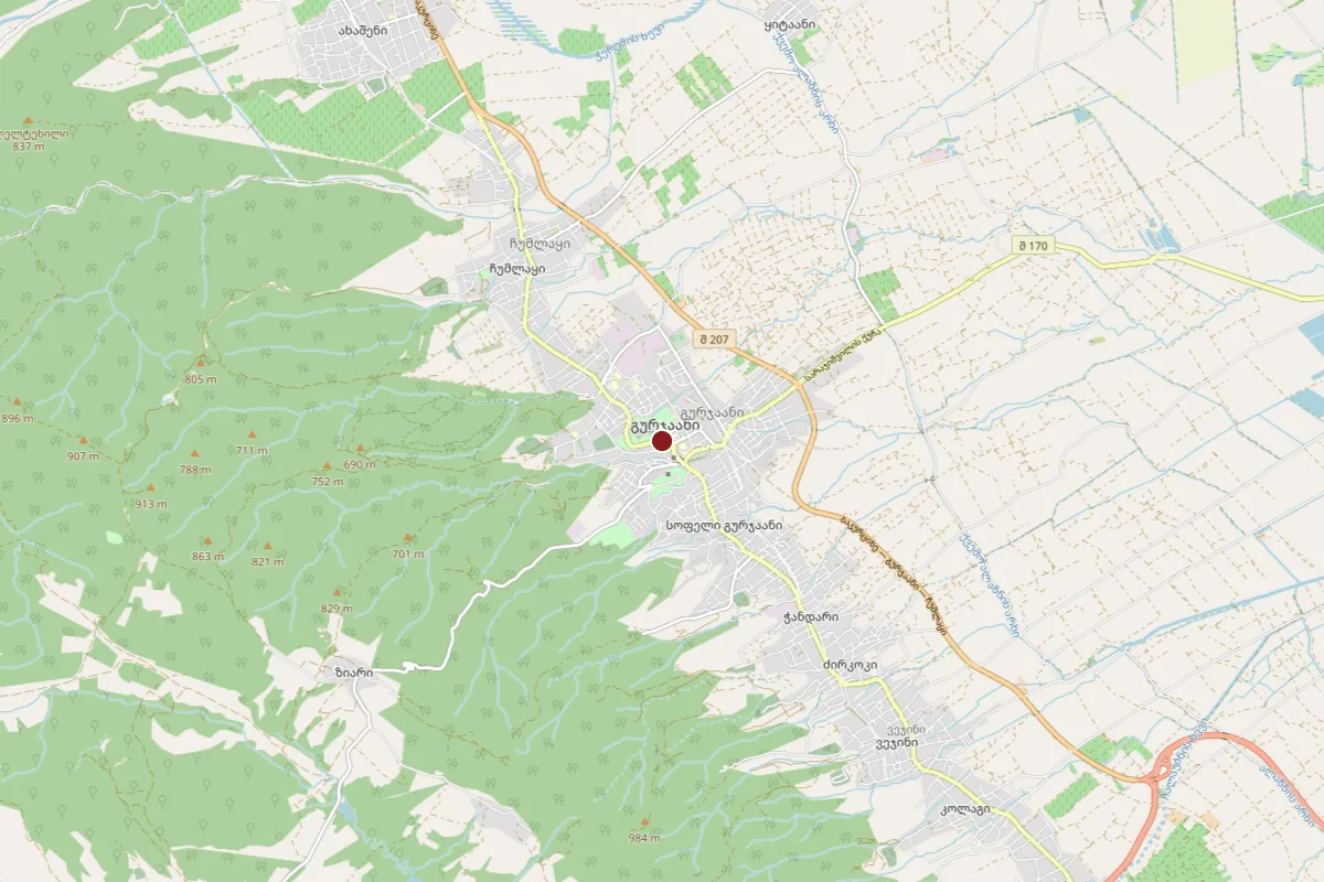 Gurjaani, OpenStreetMap