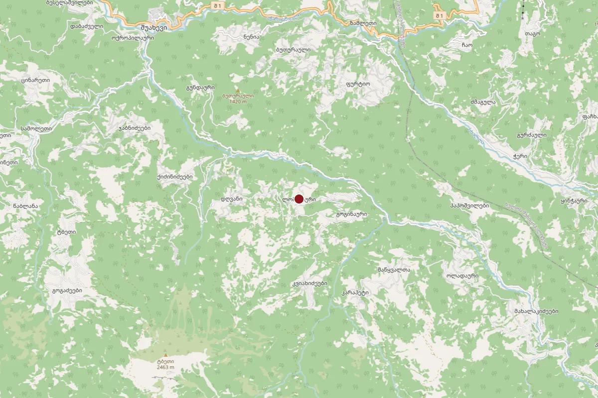 Lomanauri, OpenStreetMap