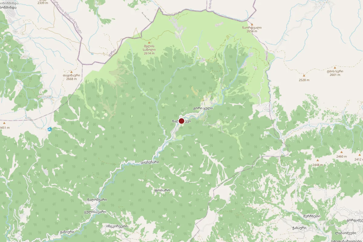 Naghvarevi, OpenStreetMap
