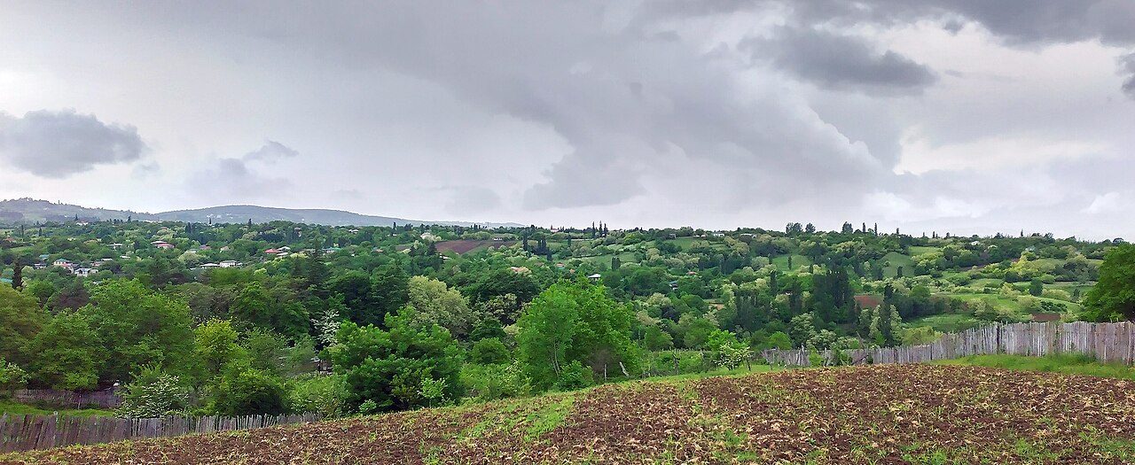 Argveti