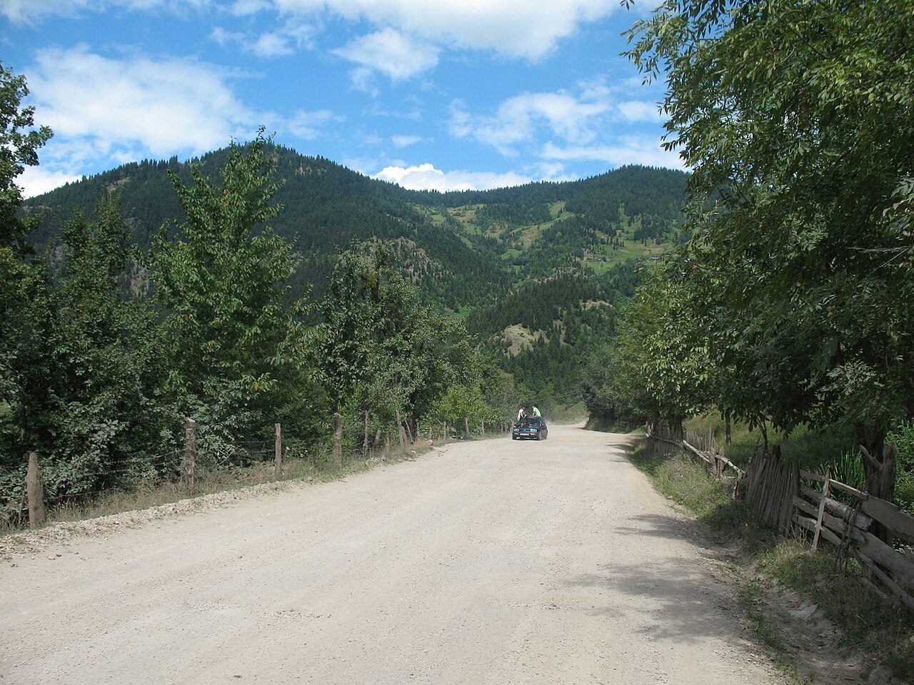 Bodzauri