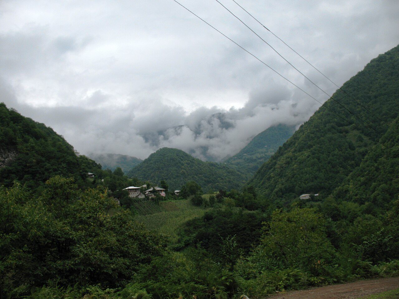 Tsoniarisi