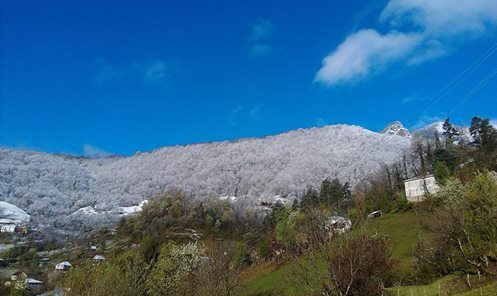 ზესოფელი